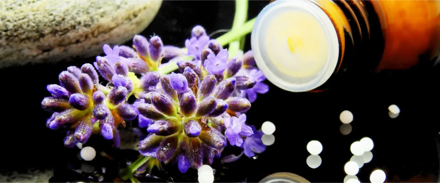 Martina Hüter - Homöopathie Mainz